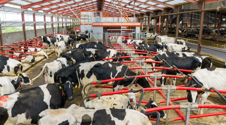 Featured Product ImageBottom Image