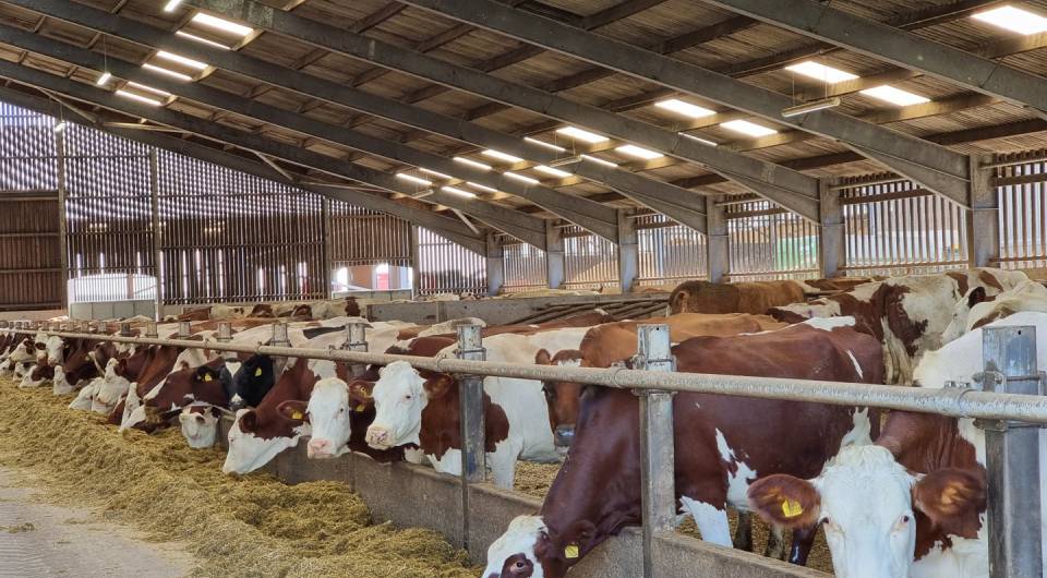 Featured Product ImageBottom Image